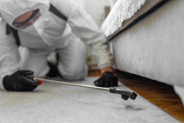 Professional Pest Control technician working in Wayne County County, IA
